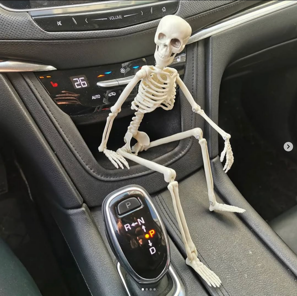 Skeleton Medallion 40cm